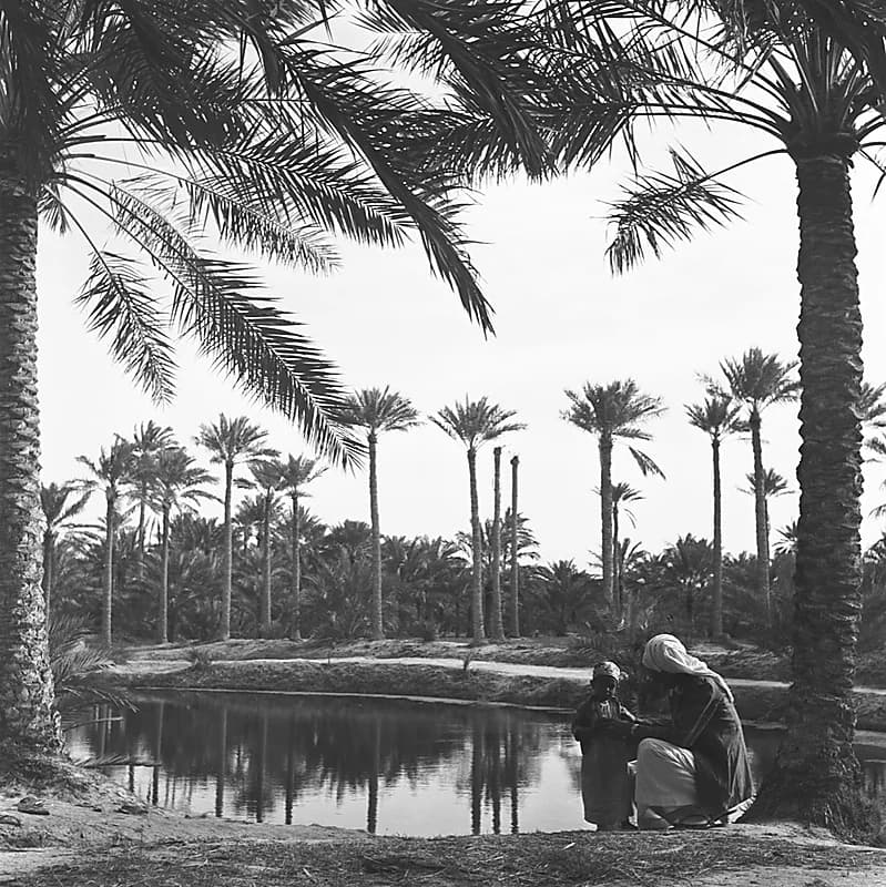 صورة تخطف القلوب لأب يوصي صغيره قبل 67 عام