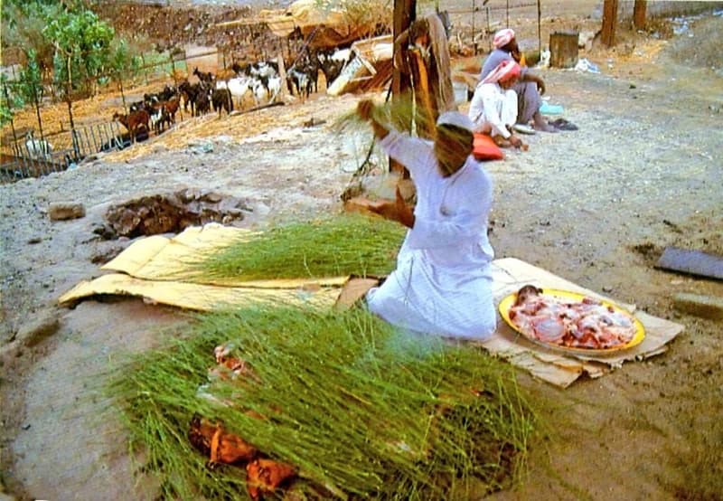 صورة لرجل يعد وجبة في الباحة قبل 35 عام