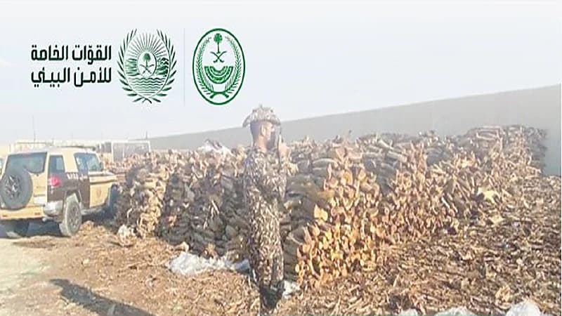 ضبط موقع مخالف لنظام البيئة استُخدِم لتخزين الحطب المحلي