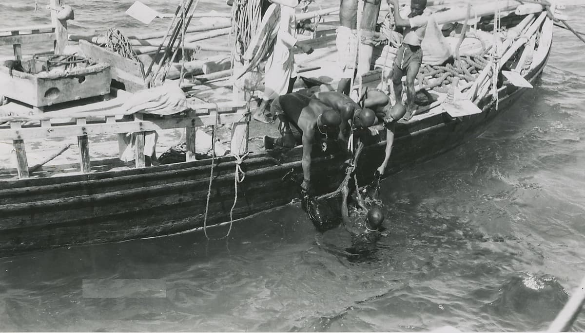 لقطة لصيادي اللؤلؤ في الاربعينيات الميلادية