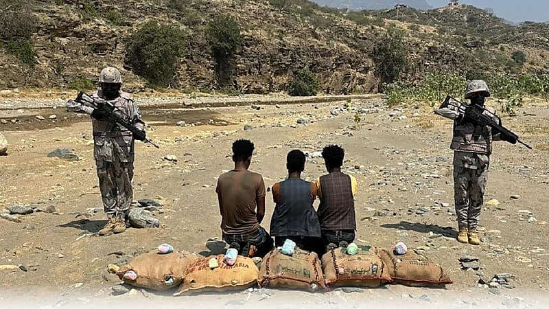 ضبط 3 مخالفين لتهريبهم 126 كيلوجرامًا من القات بجازان