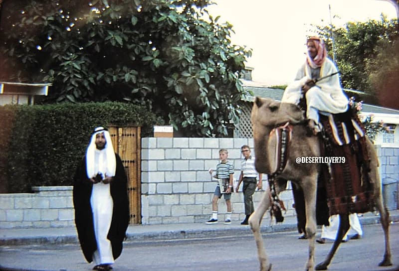 صورة رائعة ونادرة جدا لجمل في سكن أرامكو