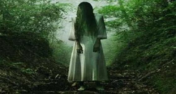 بالفيديو.. كائنات مرعبة كثيفة الشعر تظهر في متنزه عام