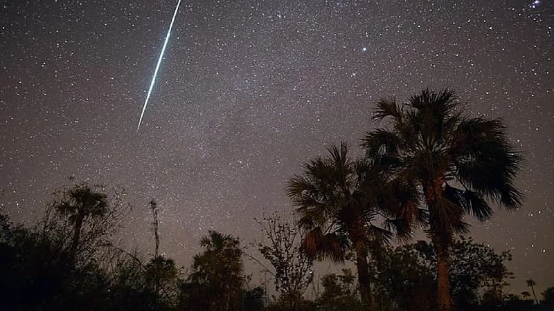غدًا.. رصد أكبر عدد من شهب التوأميات بسماء المملكة