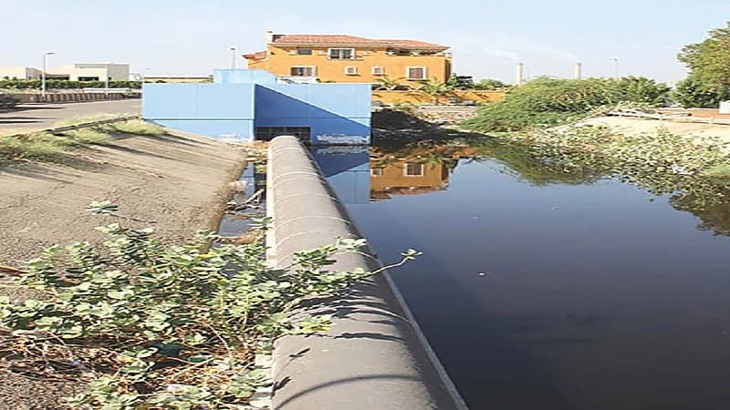 بالفيديو.. أمانة جدة: ارتفاع المياه الجوفية بسبب عدم وجود شبكة صرف صحي