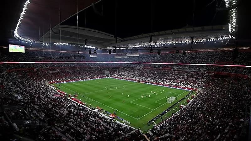 "فيفا" تقترح اعتماد اللعة العربية لغة رسمية لها