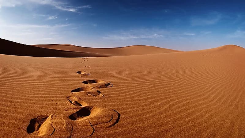 بعد 3 أسابيع من فقدانه.. العثور على مفقود زلوم متوفى
