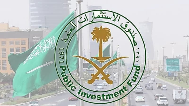 "صندوق الاستثمارات" يستحوذ على  9.5% من أسهم سكاي بورن رينيوبلز