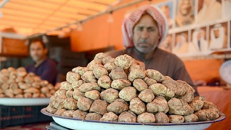 أخصائية تغذية: الفقع فوائده مقاربة للحوم وهذا سبب ارتفاع سعره