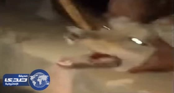 بالفيديو والصور.. " التجارة " تنفذ حملة على محلات أبو ريالين