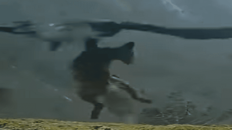 شاهد.. نسر ينتشل ذئبا ضخم ويطير به في أجواء عاصفة