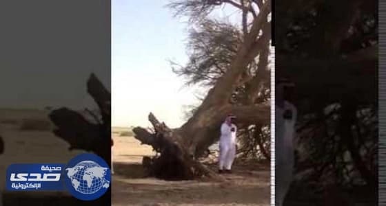 بالفيديو.. تدمير منزل وإصابة شخص بحروق في انفجار " سخان مياه "