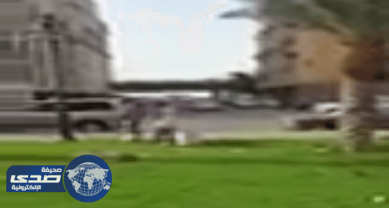 بالفيديو: رغم إجازتهم فلبينيان ينظفان حديقة بجده