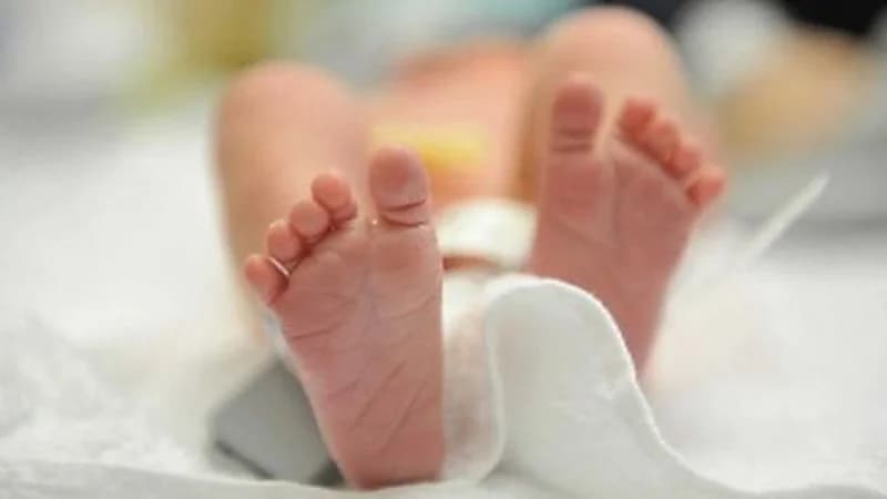 بالفيديو .. طبيب: زرع الجنين حل لتفادي مخاطر زواج الأقارب