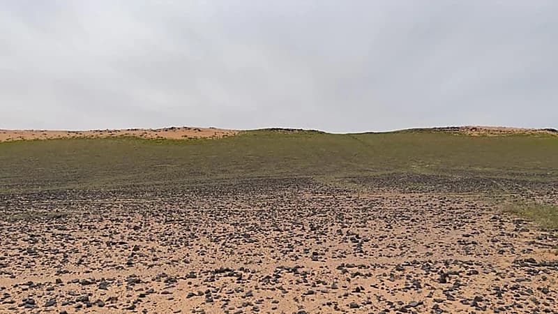 القبض على مواطن لارتكابه مخالفة الصيد بمحمية الملك عبدالعزيز