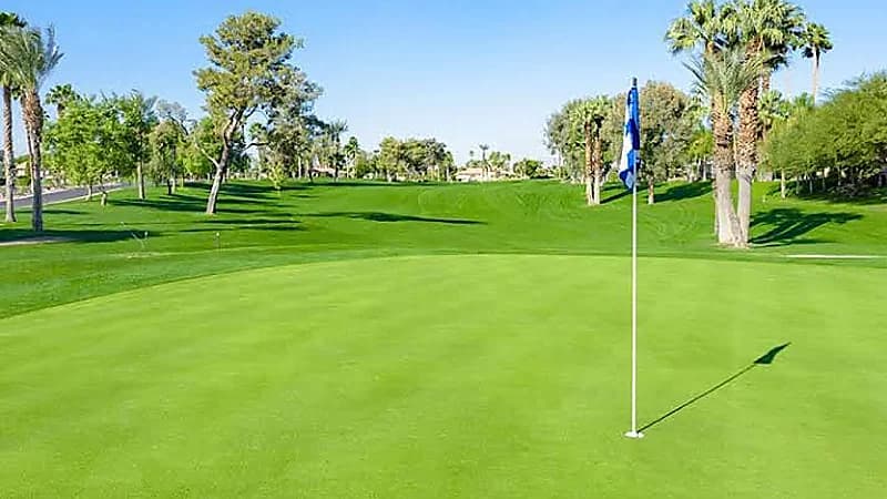 مختصون:العيش بجوار ملاعب الجولف يتسبب في الإصابة بمرض باركنسون