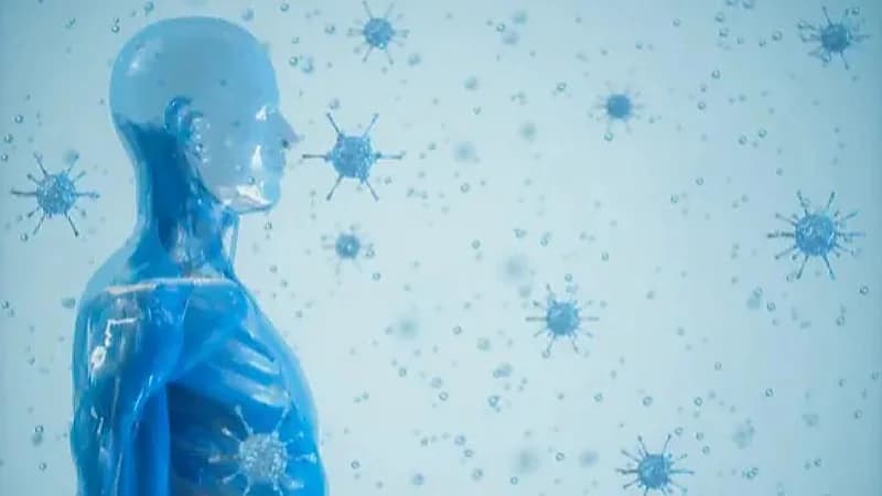 اكتشاف أبراج مراقبة للجهاز المناعي تحمي الجسم من الجراثيم