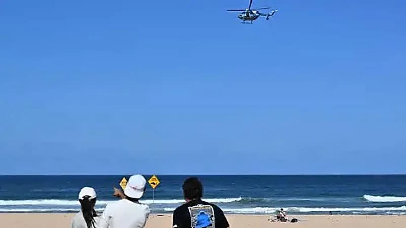 مقتل رجل بعد هجوم سمكة قرش عليه في سيدني..فيديو