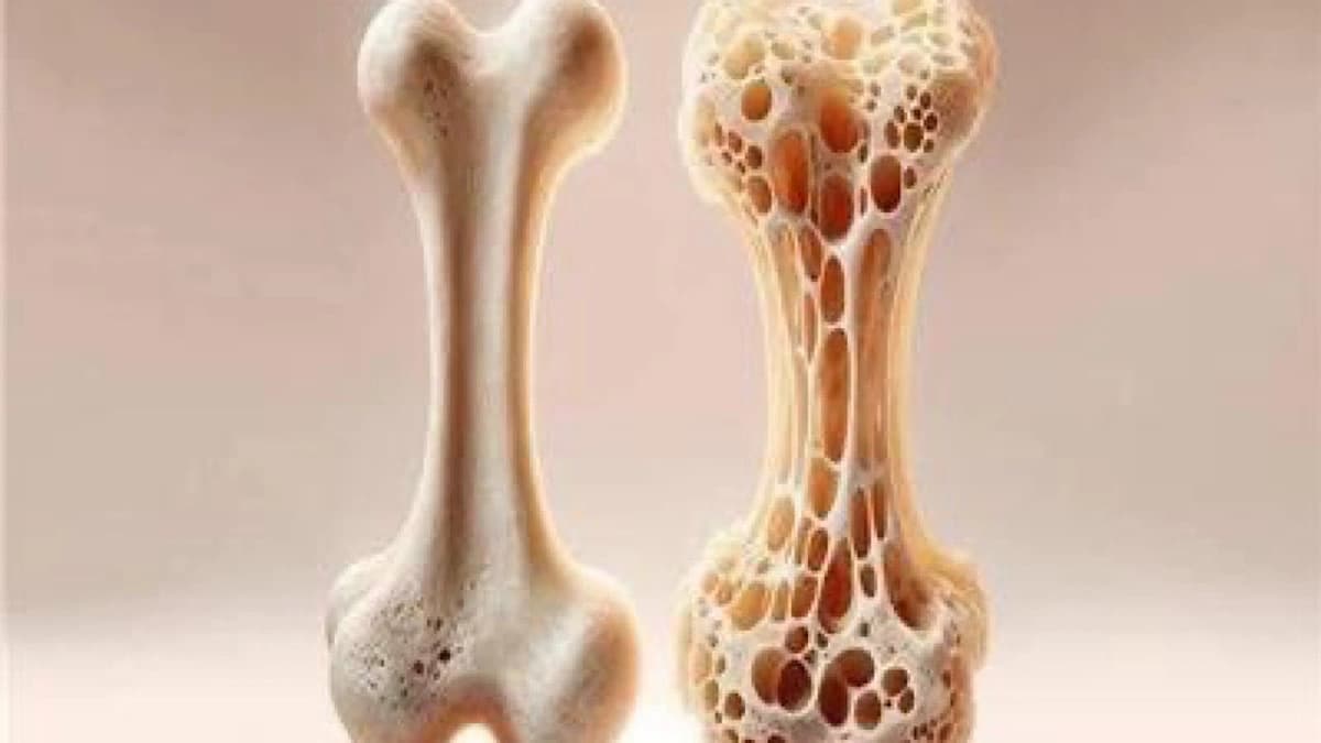 WhatsApp Image 2025-11-11 at 1.26.59 PM.jpeg