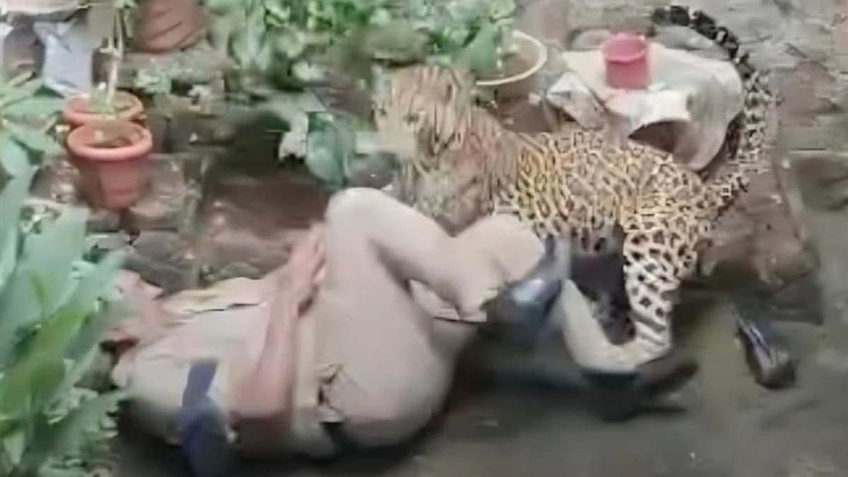 مشهد مروع يظهر لحظة هجوم فهد على شرطيين.. فيديو