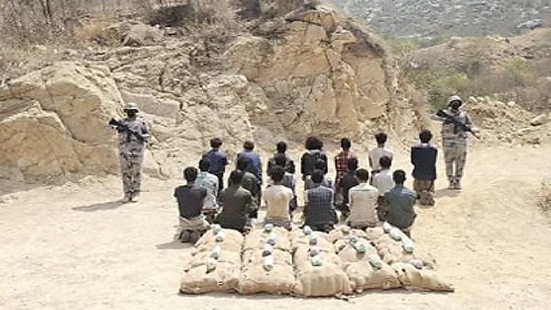 إحباط 667 كيلوجرامًا من القات بجازان وجدة وعسير