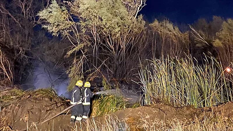 اندلاع حريق في مجموعة أشجار وأعشاب بأرض فضاء بالطائف.. صور