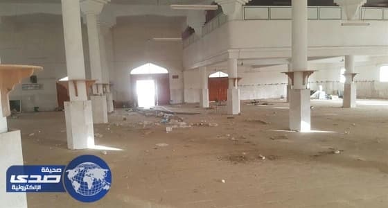 بالفيديو.. القطط والكلاب الضالة تسكن مسجد تنومة بعد توقف الترميم