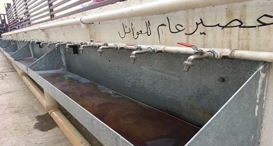 بالفيديو والصور.. طريقة مبتكرة لإفطار الصائمين بجامع الأمير عبدالله في الرياض