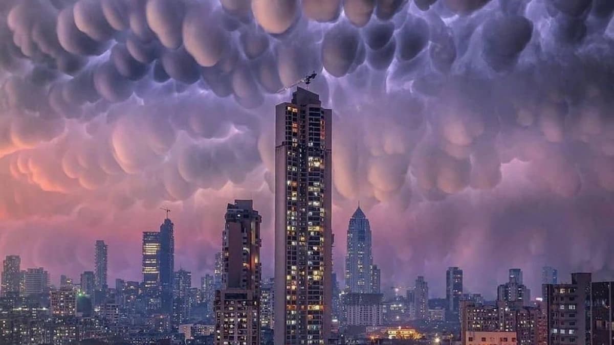 المسند: سحب الماماتوس مشهد مهيب يثير الرعب ويهدد الملاحة الجوي.. فيديو