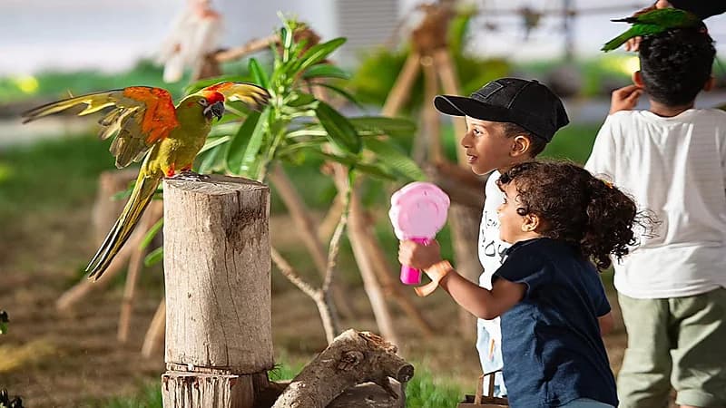 من الأحد إلى الأربعاء..الدخول لجدة جنغل بارك مجانًا