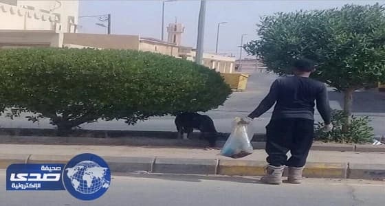 بالصور.. حملة لتسميم الكلاب الضالة بعد فتوى بجواز قتل المؤذية في العويقيلة