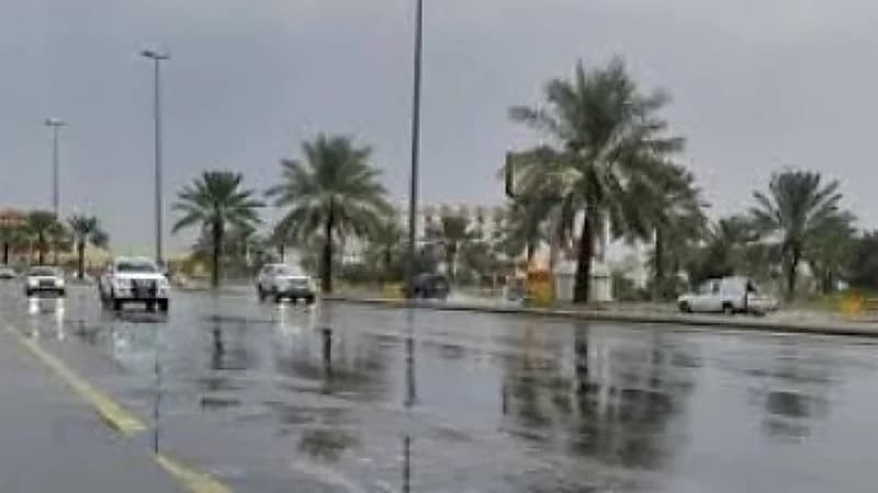 محلل الطقس: المملكة ستشهد تقلبات جوية الفترة القادمة.. فيديو