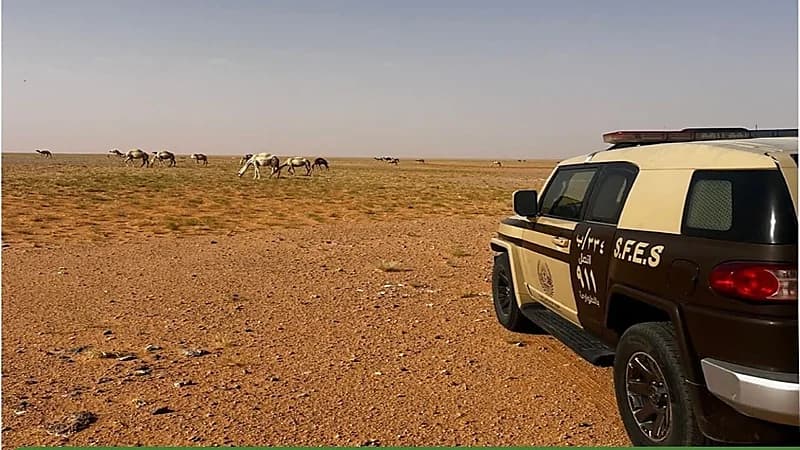 ضبط مخالف لارتكابه مخالفة رعي بمحمية الإمام عبدالعزيز بن محمد الملكية
