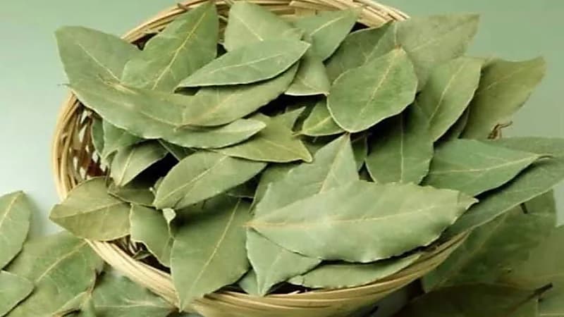 4 فوائد صحية كبيرة لورق الغار