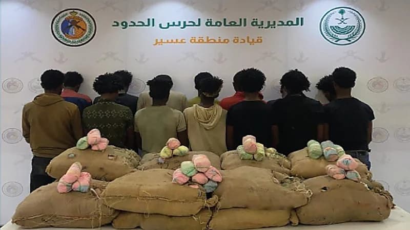 إحباط 692 كيلوجرامًا من القات بجازان