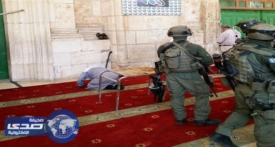 ⁠⁠⁠⁠⁠فلسطين: صمت المجتمع الدولي بلغ حد التواطؤ مع جرائم الاحتلال