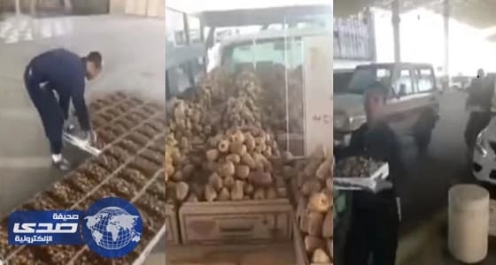 بالفيديو.. هاشتاج " التمور الملوثة " يثير الرعب