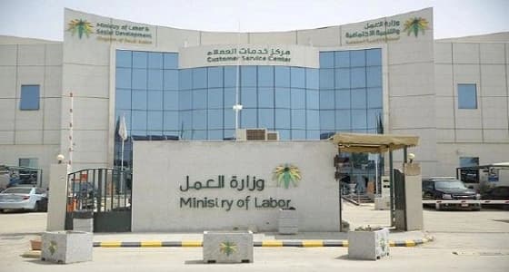 " التنمية الاجتماعية " تنشأ إدارات مستقلة لرعاية المسنين