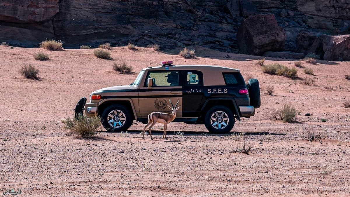 ضبط مقيم ومواطنين لمخالفتهم نظام البيئة