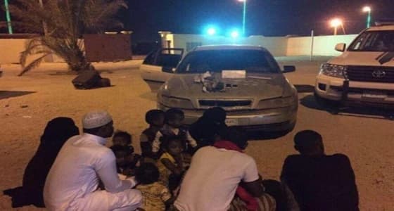 إحباط محاولة تهريب 12 مخالف يمني بحوزتهم حزم " قات "