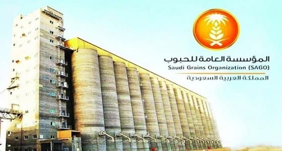 مؤسسة الحبوب تنهي ترسية الدفعة الأولى من الشعير العلفي المستورد لهذا العام