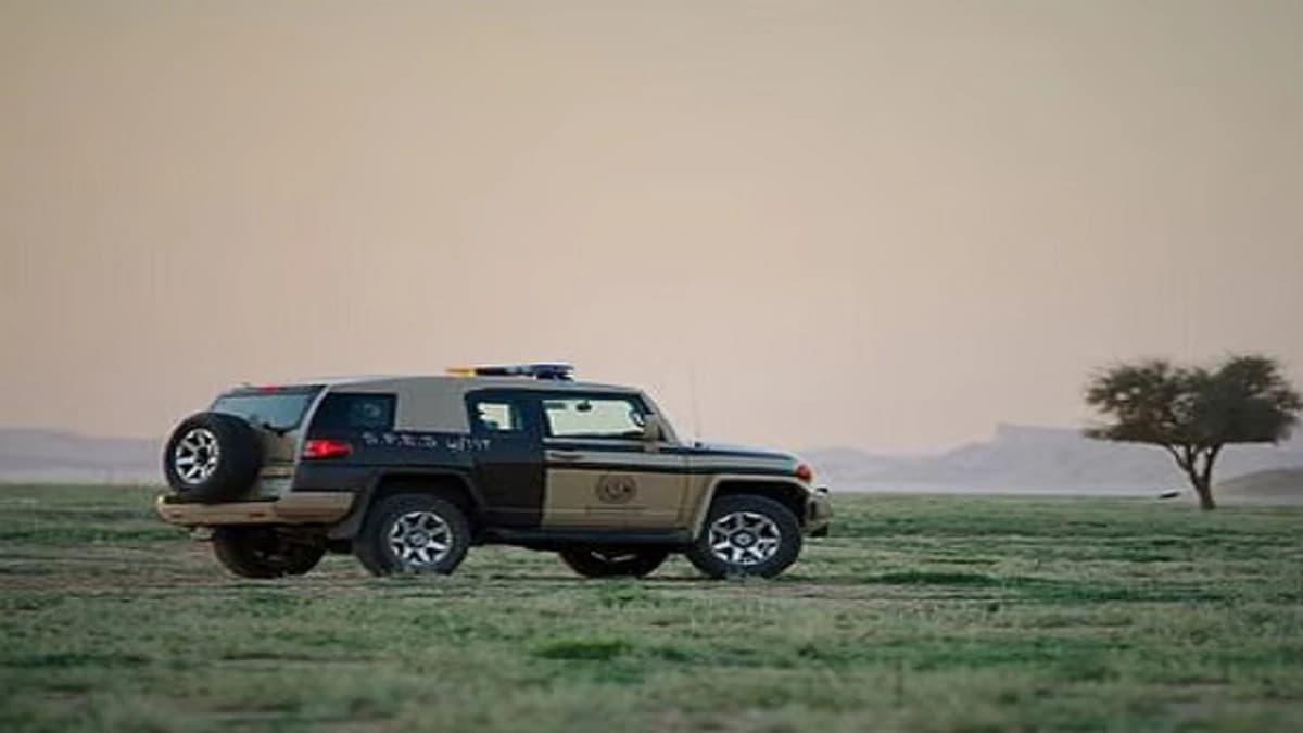 bfe9cde7-2670-48d2-8cee-8b4ce12dab02.jpg