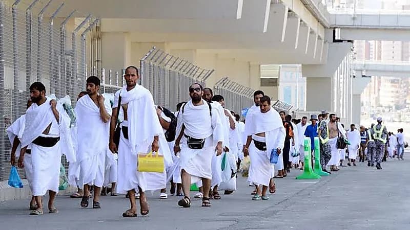أبرز تفاصيل النقل الترددي لحجاج هذا العام