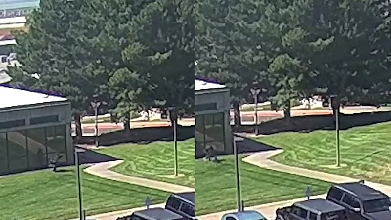 FBI ينشر مقطع يظهر هروب قاتل تشارلي كيرك بعد إطلاق النار.. فيديو