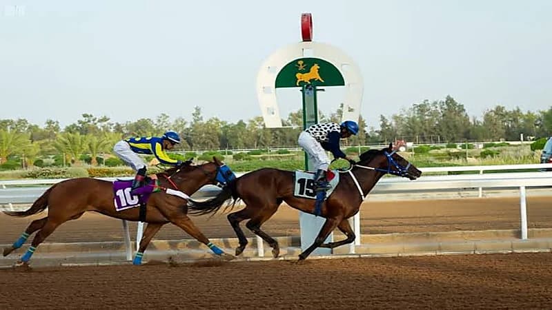 آلية المشاركة بموسم سباقات الخيل في الطائف
