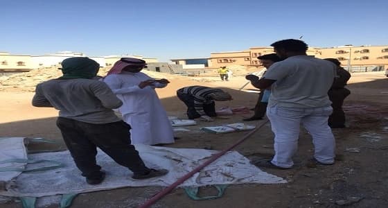 مكتب عمل ينبع يضبط مخالفي نظام الإقامة والعمل