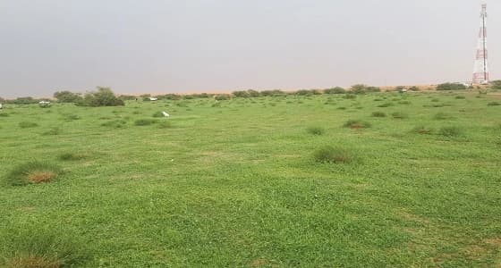 بالفيديو والصور.. التنهات تنتظر المتنزهين