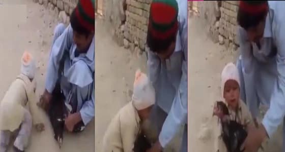 بالفيديو..طفل ينقذ " ديكًا " من الذبح