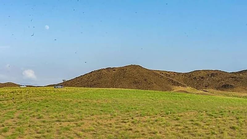 المسند: بقى على العقارب يوم واحد وإجازة الشتاء 15