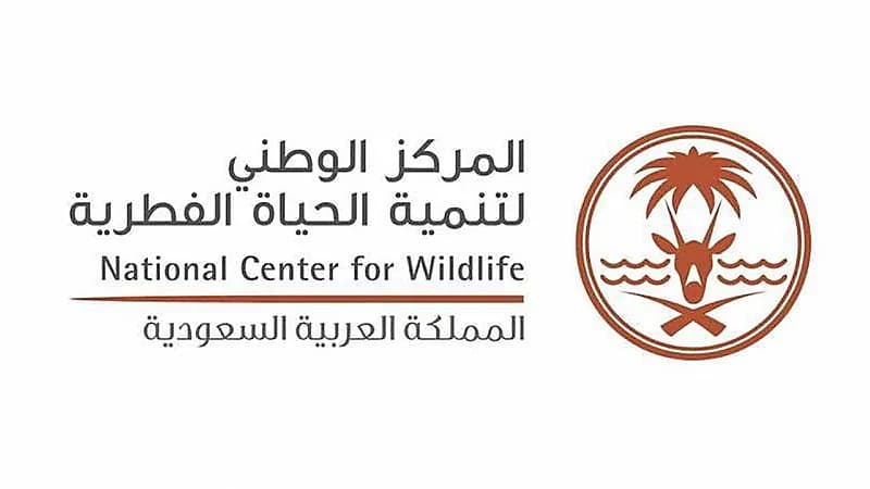 الحياة الفطرية تكشف حقيقة المقطع المتداول لصيد كميات كبيرة من الضبان